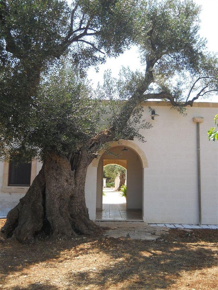 Agroturismo Masseria De Michele Montalbano (Apulia)