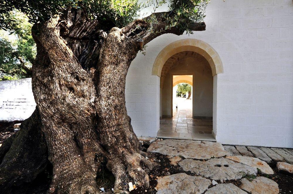Masseria De Michele * Montalbano (Apulia)